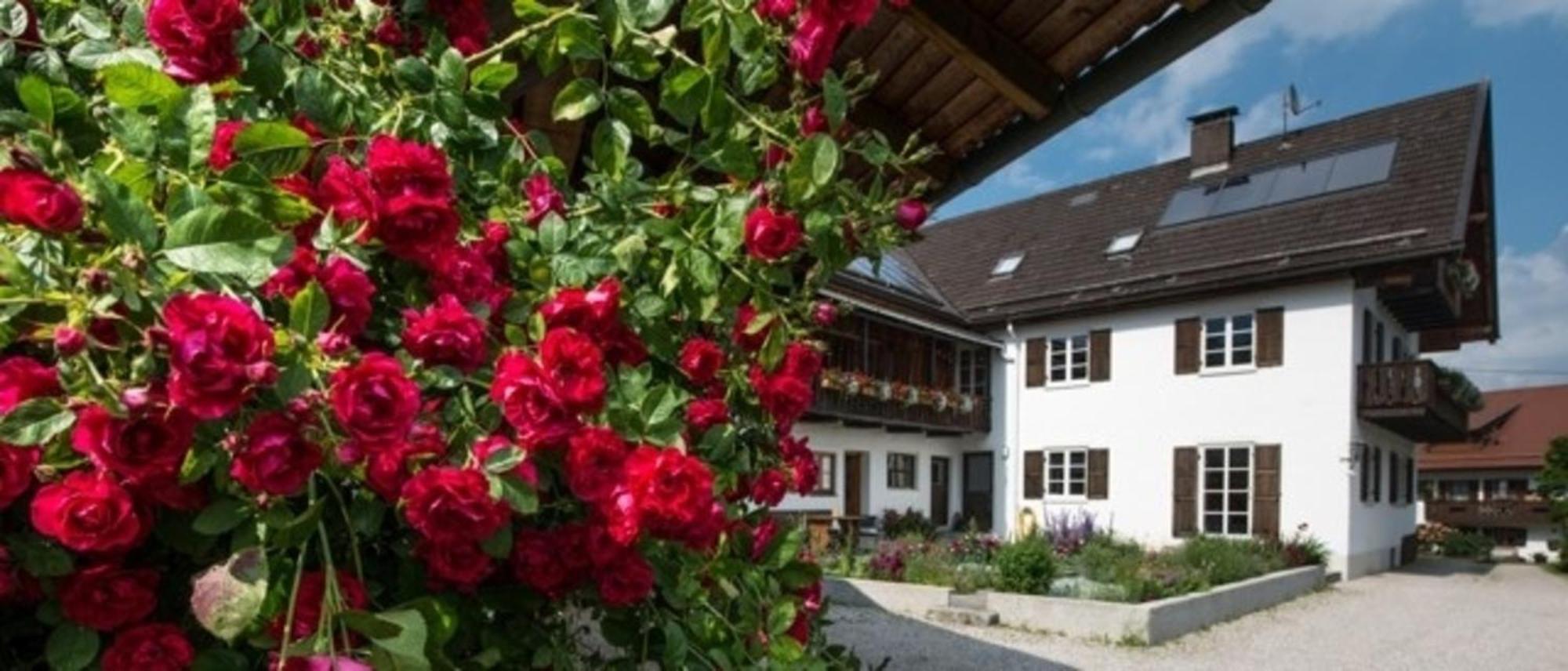 Ferienwohnung Lacherhof Seehausen am Staffelsee Esterno foto