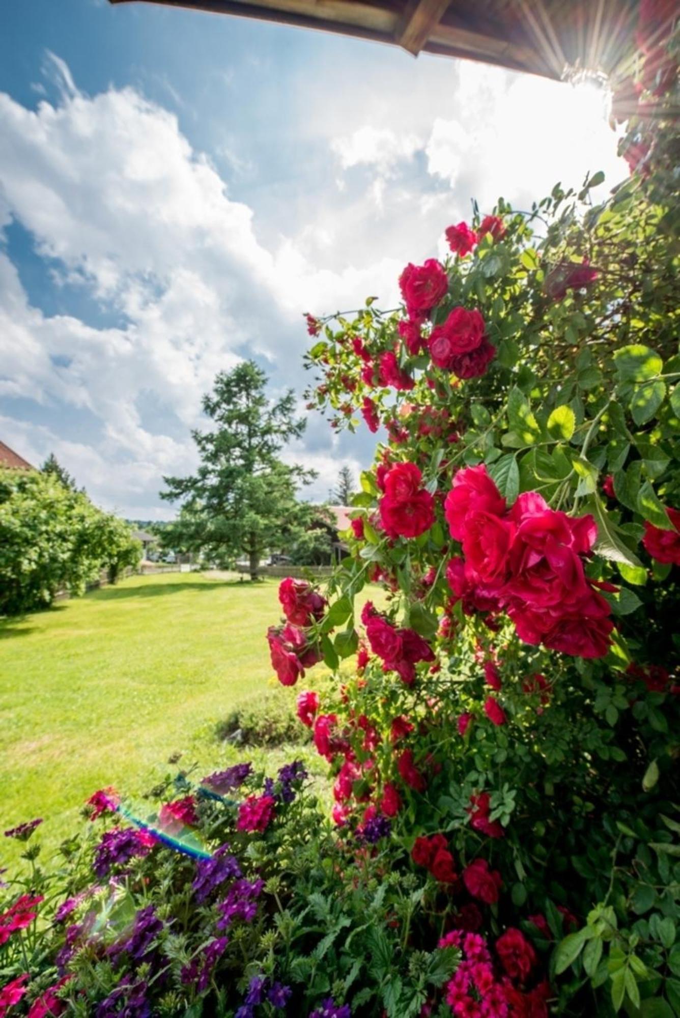 Ferienwohnung Lacherhof Seehausen am Staffelsee Esterno foto